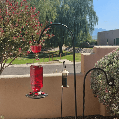 💥Glass Hummingbird Feeder
