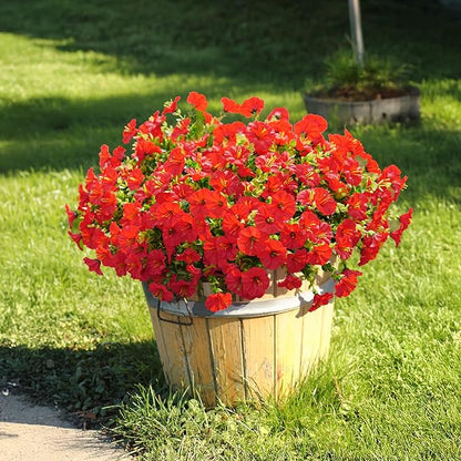 ✨ Last Day 49% OFF 🌸 UV Resistant Colorful Artificial Flower