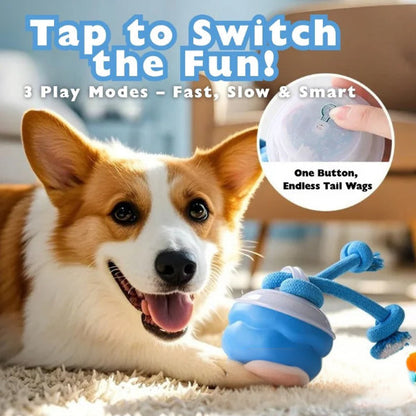 🐶The Chase Buddy