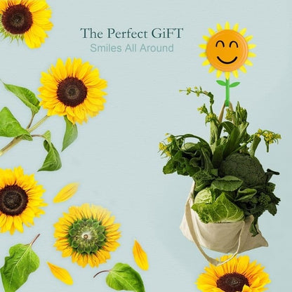 🔥This Week's Special Price🥳Smiling Sunflower Wall Hook