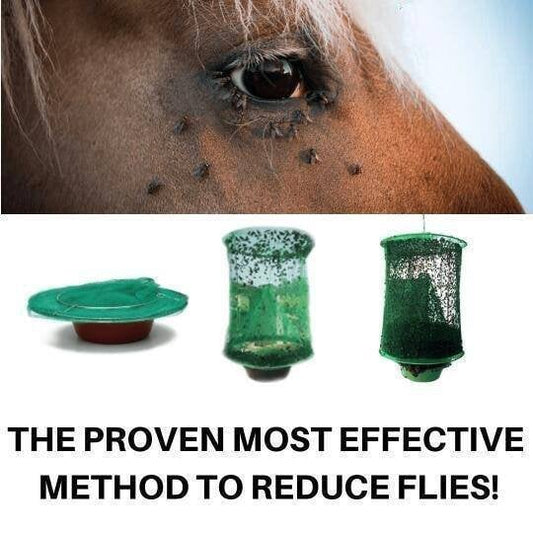 🎁Reusable Ranch Fly Trap