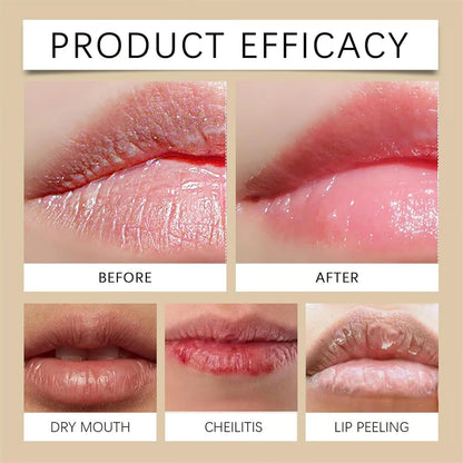 💋 Experience Luxurious Lips - ✨Transferproof Color-Changing Lipstick💄 Color Alchemy 💋 Auto-Tints on Contact!